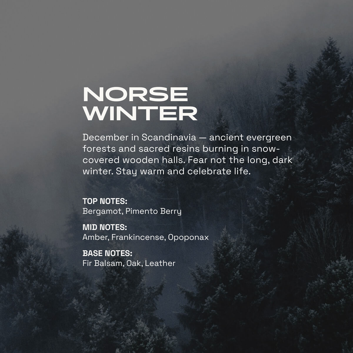 beardbrand-norse-winter-coffret-huile-barbe-cologne-parfum-for-ts-nordiques-ever image 3
